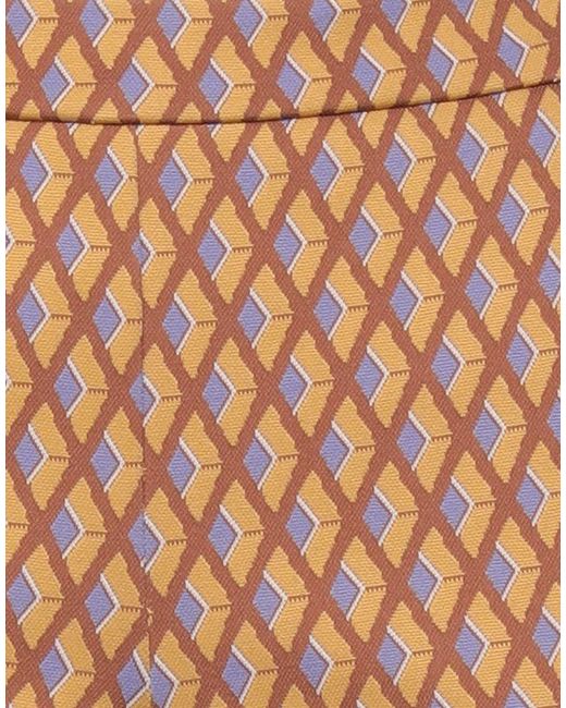 Maliparmi Brown Trouser