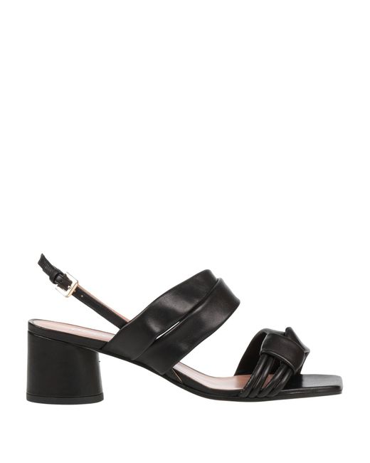 Sandales Pollini en coloris Black