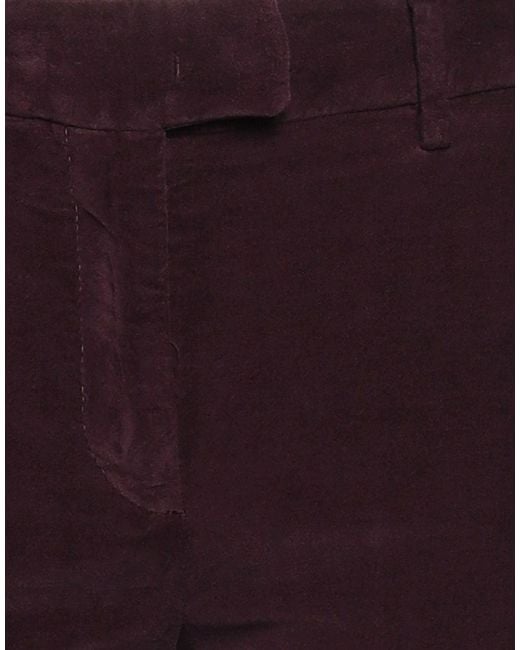 Dondup Purple Trouser