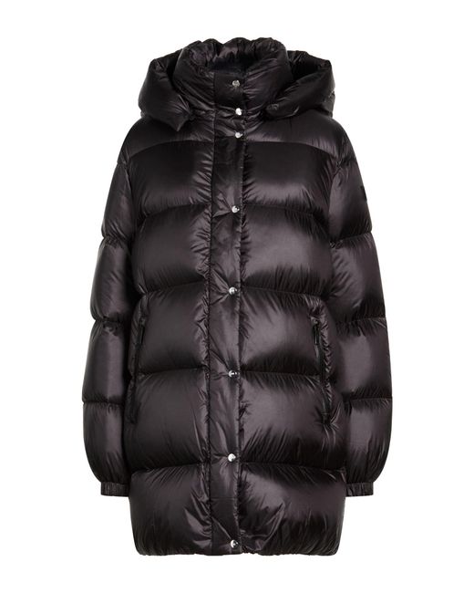 Add Black Puffers