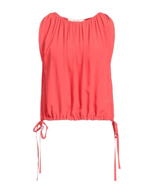 Jucca Red Top