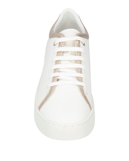 Geox Natural Trainers