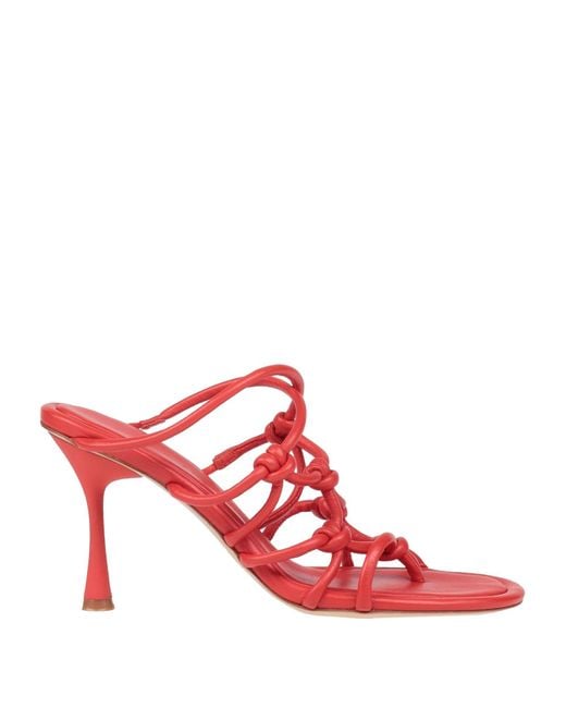 STUDIO AMELIA Pink Thong Sandal