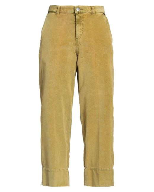 PT Torino Yellow Hose