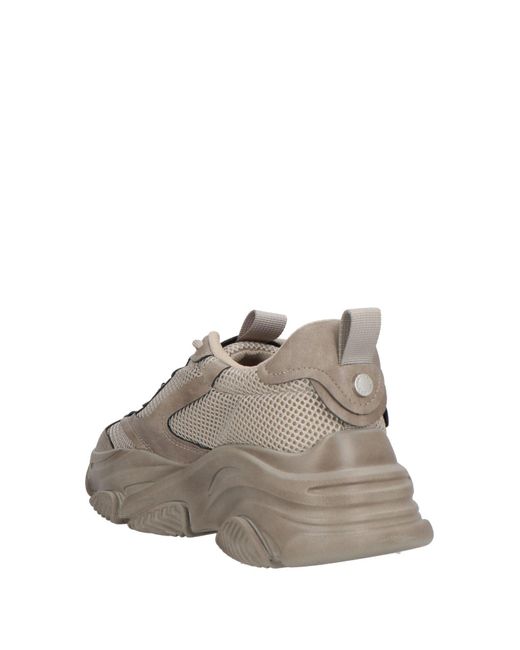 Steve Madden Gray Trainers