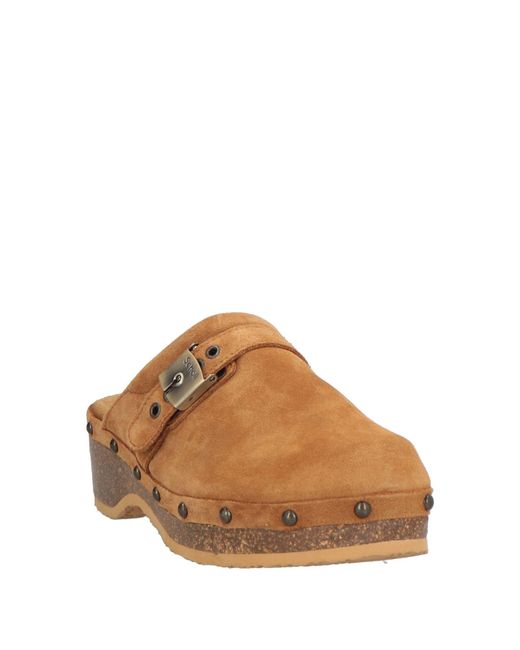 Scholl Brown Mules & Clogs