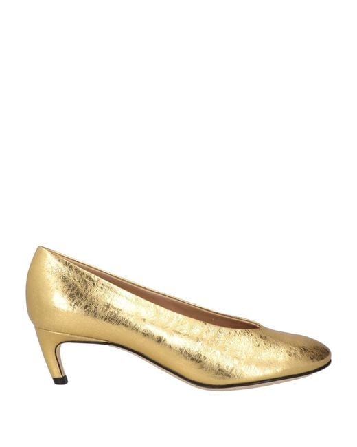 Sergio Rossi Natural Pumps