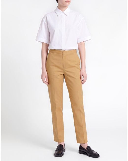 Fabiana Filippi Natural Pants Cotton, Elastane