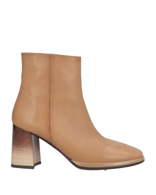 Hispanitas Brown Ankle Boots Leather