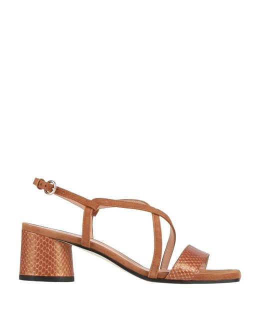 Pollini Brown Sandals