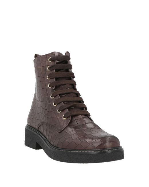 The Flexx Brown Dark Ankle Boots Leather