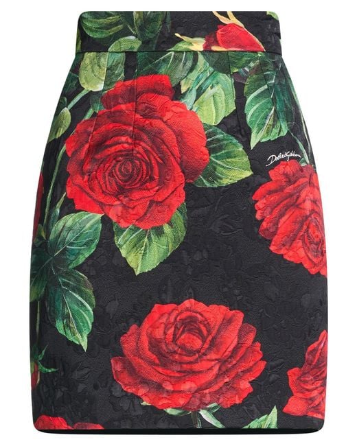 Dolce & Gabbana Red Mini Skirts