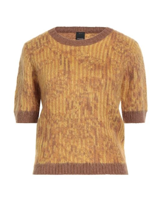 Pinko Brown Sweater Acrylic, Merino Wool, Polyamide