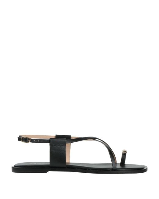 Guilhermina Black Thong Sandal