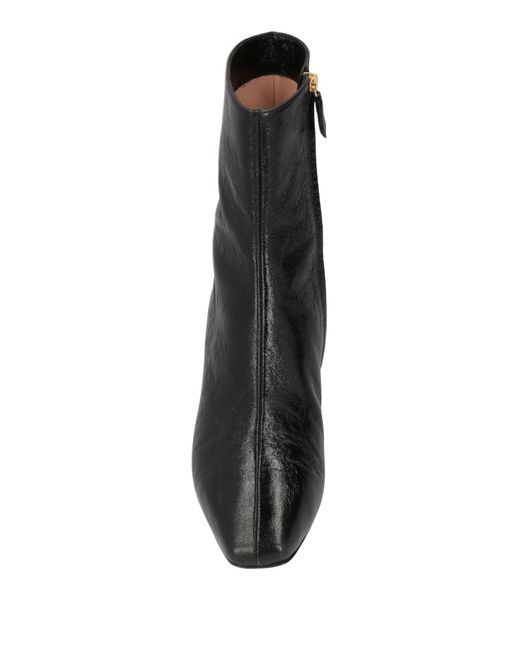 Alberta Ferretti Black Ankle Boots