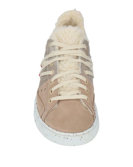 HIDNANDER Multicolor Sneakers