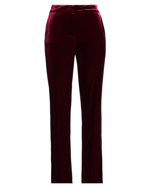 Compagnia Italiana Purple Pants Polyester, Elastane