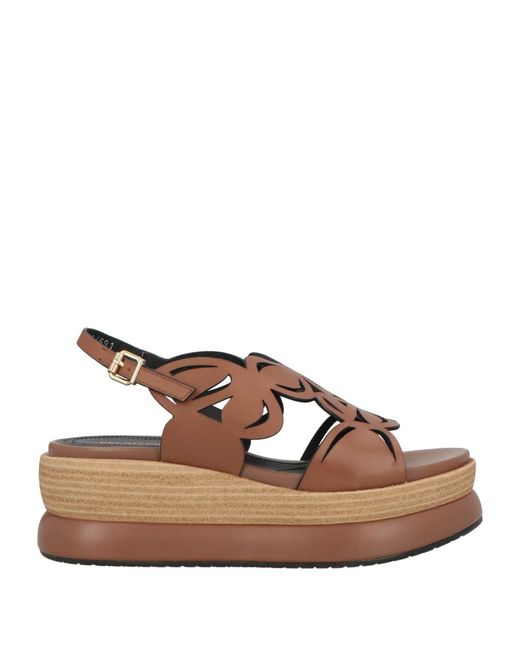 Sandales Bruno Premi en coloris Brown