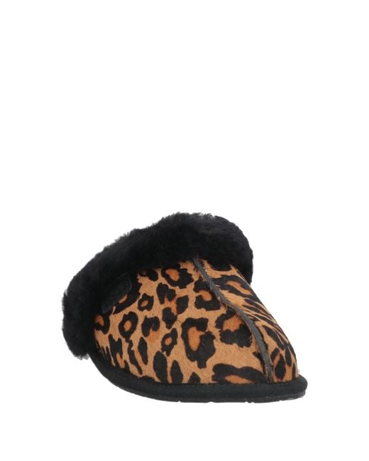 Pantofole di Ugg in Brown