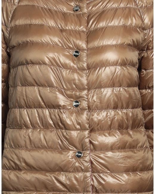 Herno Gray Camel Puffer Polyamide