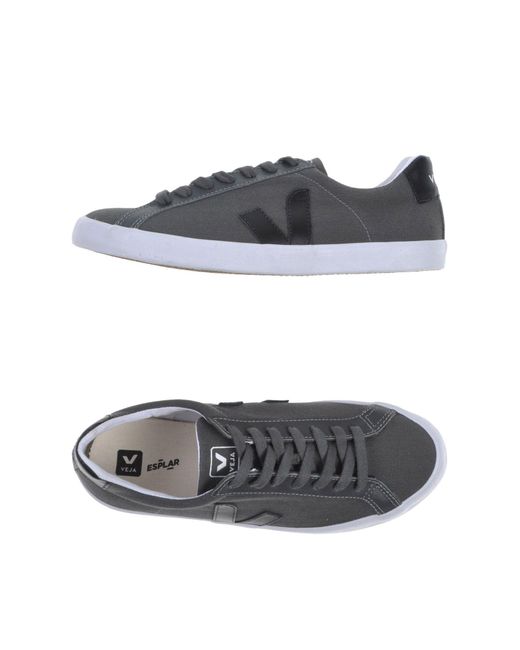 Veja Gray Low-tops & Sneakers for men
