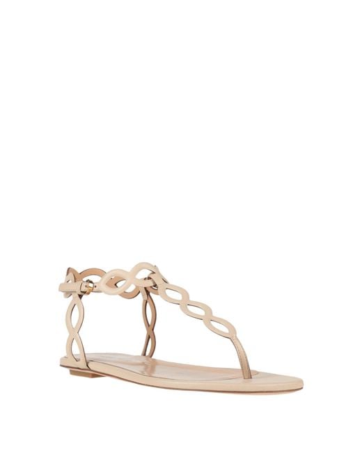 Sergio Rossi Natural Thong Sandal