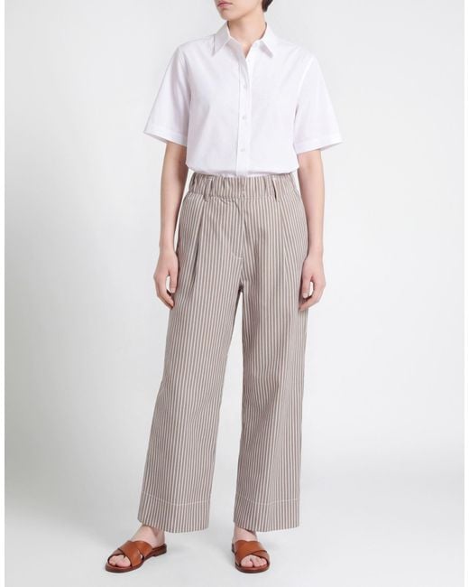 Myths Gray Taupe Pants Cotton, Polyamide, Elastane