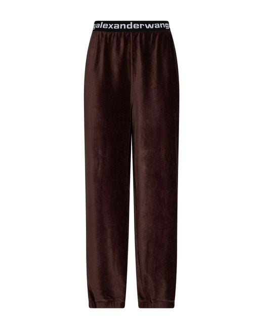T By Alexander Wang Purple Trouser