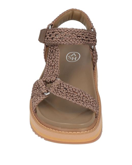 Ash Brown Sandals