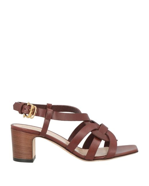 Pollini Brown Sandale