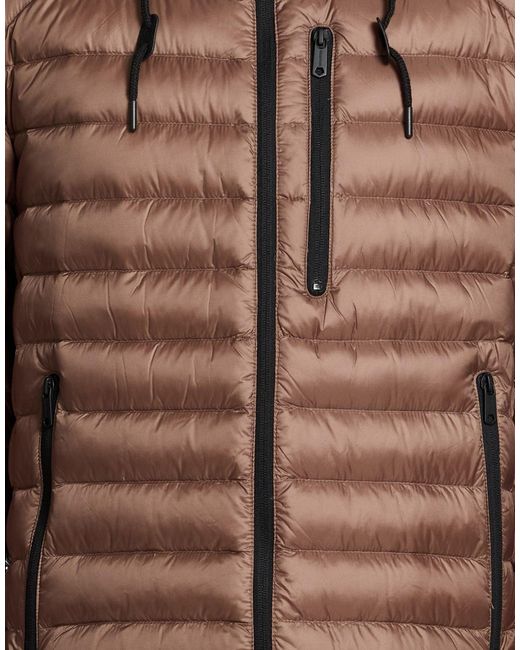 Milestone Brown Puffer for men