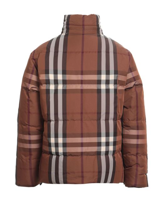 Burberry Brown Down Jacket for men