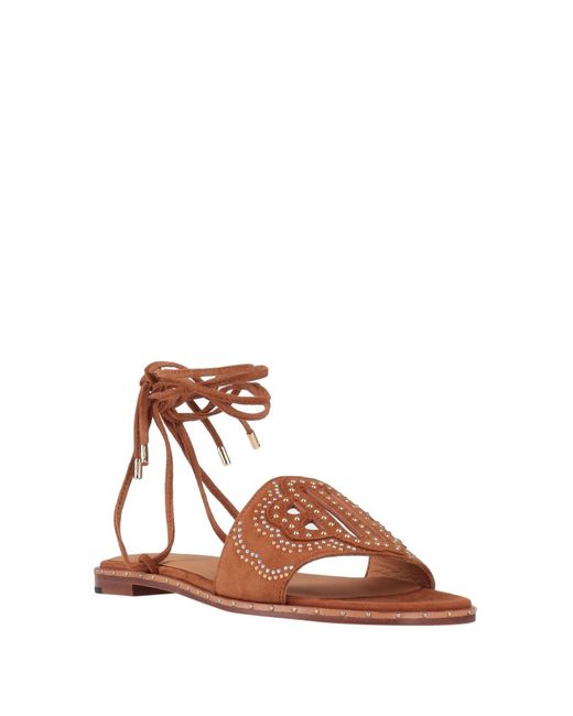 Maje Brown Sandals