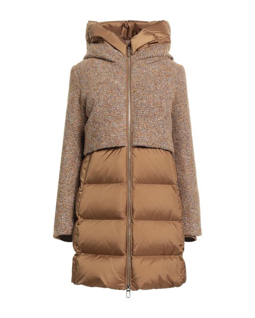 DUNO Brown Puffers