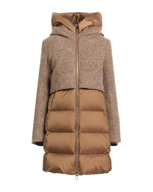 DUNO Brown Puffers