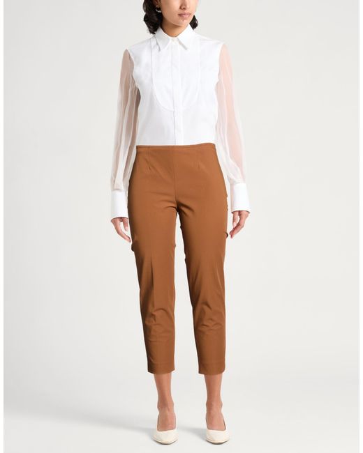 PT Torino Brown Pants