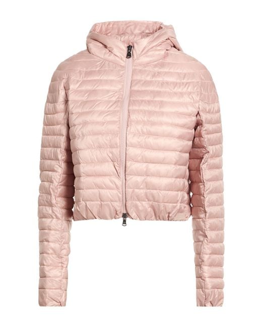 Canadian Pink Puffer
