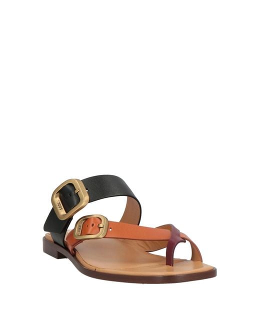 Tod's Brown Tan Thong Sandal Leather