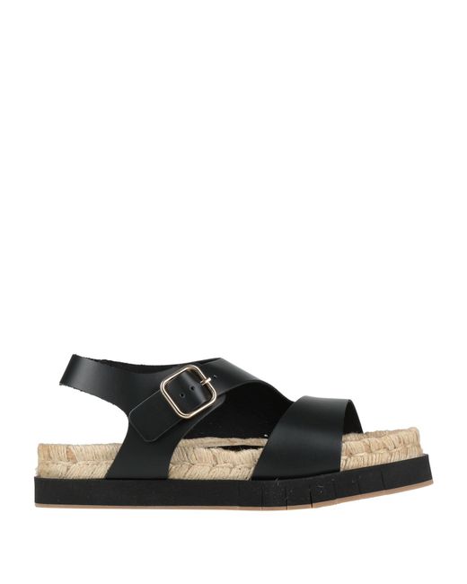 Palomitas By Paloma Barcelo' Black Sandals Leather