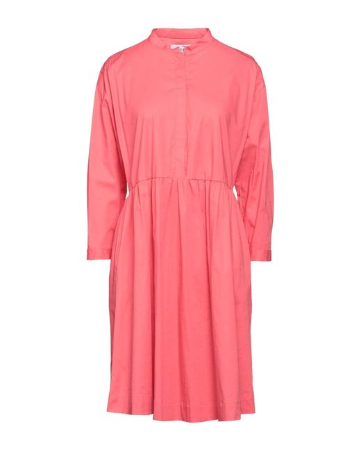 Niu Pink Midi Dress