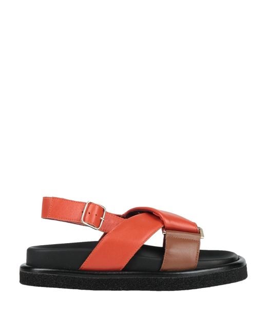 Seboy's Red Sandals