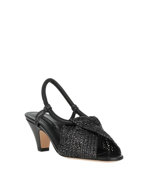 Casadei Black Sandals