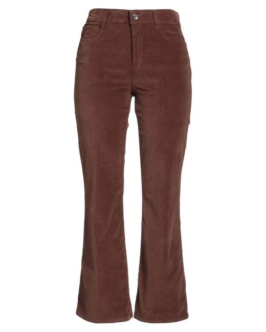 Liu Jo Brown Trouser