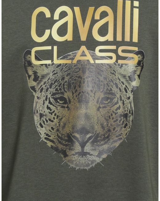 Roberto Cavalli Gray Sweatshirt for men