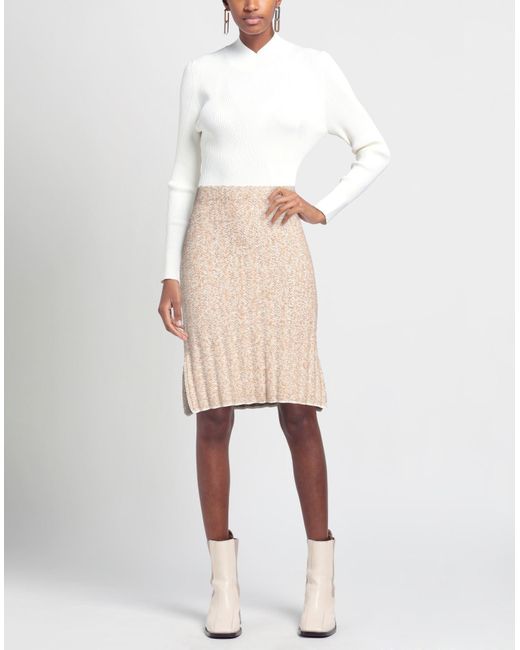 St. John Natural Mini Skirt