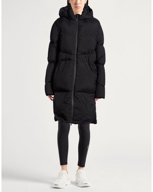 Suns Boards Black Puffer