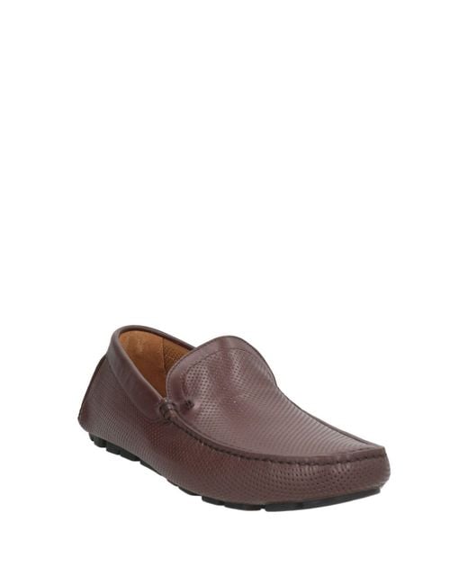 Baldinini Brown Dark Loafers Calfskin for men