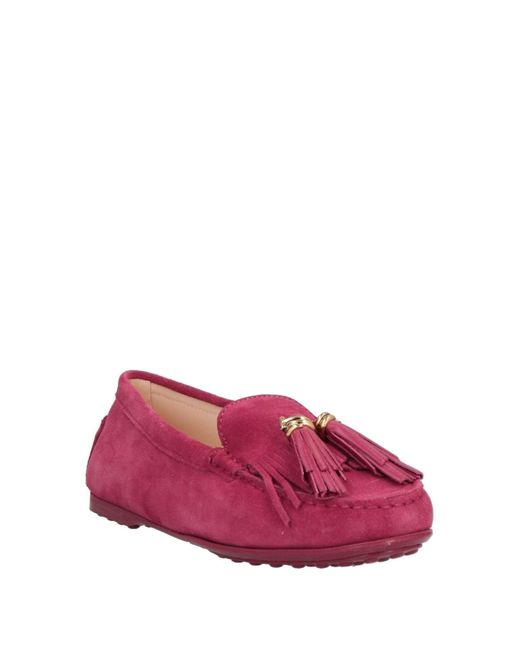 Tod's Purple Mokassin