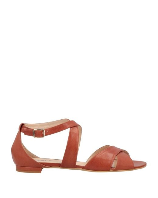 Stele Brown Sandals