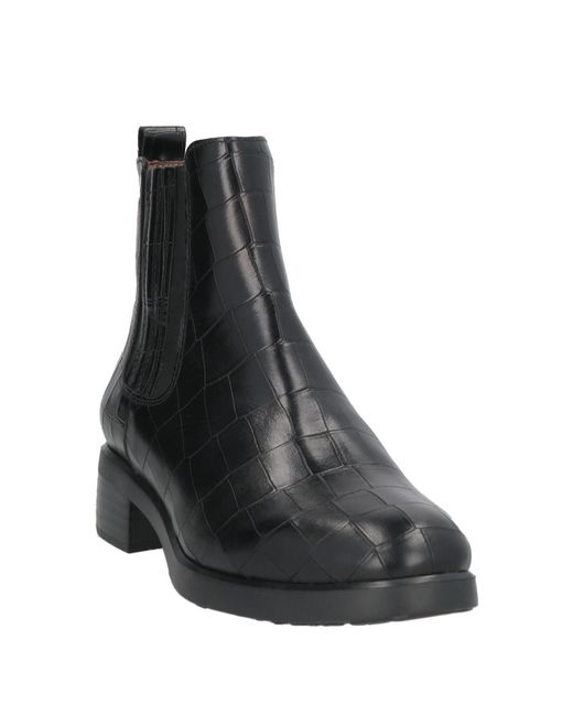 Wonders Black Ankle Boots